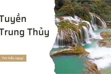 Tìm hiều Tuyền Trung Thủy, Số mênh, Tình duyên - Bản chuẩn