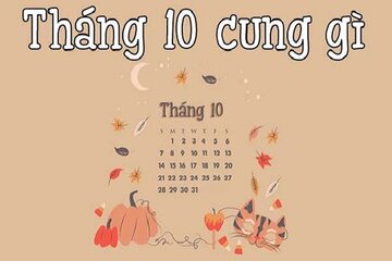 Sinh tháng 10 là cung gì? Giải mã vận mệnh, tính cách, tình yêu, sự nghiệp - Chi tiết nhất