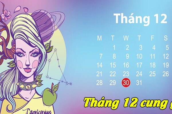 Sinh tháng 12 là cung gì? Giải mã vận mệnh, tính cách, tình yêu, sự nghiệp - Chi tiết nhất