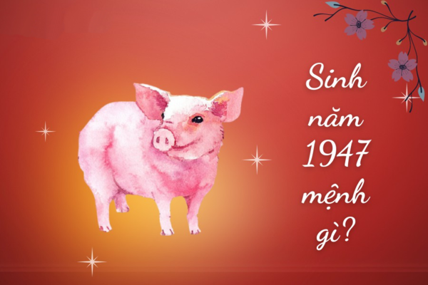 1947 mệnh gì? Vận Mệnh, Tính Cách, Màu Sắc Phù hợp