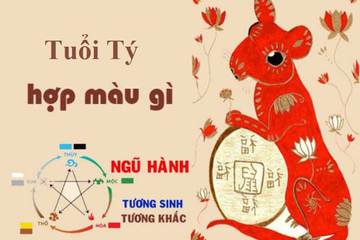 Màu sắc may mắn phù hợp cho người tuổi Tý.