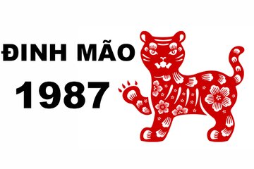 Tuổi Đinh Mão 1987 hợp với tuổi nào, màu gì, hướng nhà nào?