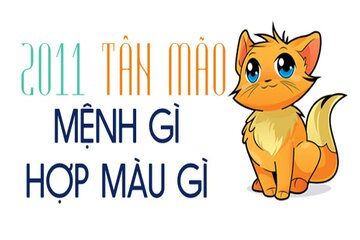 Tuổi Tân Mão 2011 hợp với tuổi nào, màu gì, hướng nhà nào?