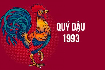 Tuổi Quý Dậu 1993 hợp với tuổi nào, màu gì, hướng nhà nào?