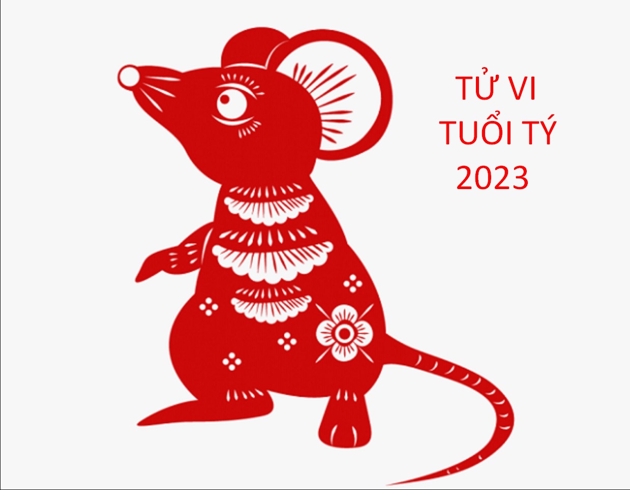 tử vi tuổi tý năm 2023