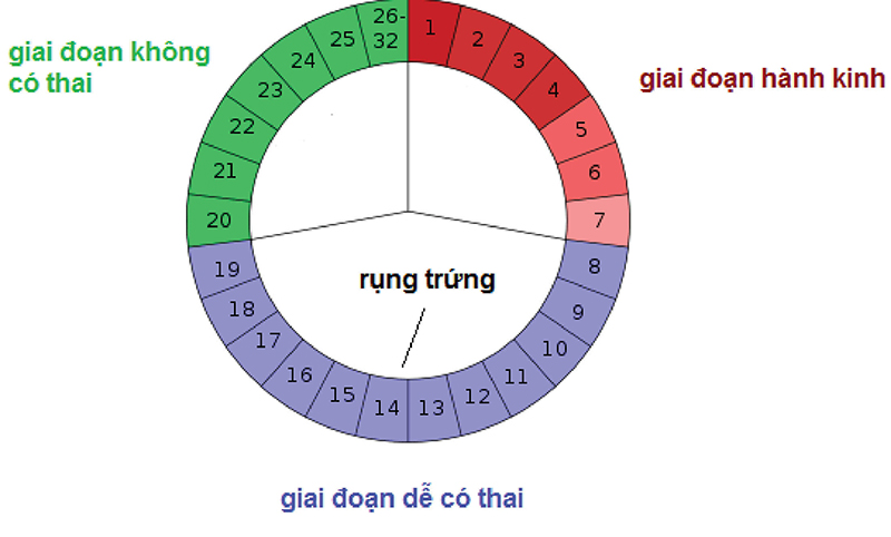 Chu kỳ kinh nguyệt