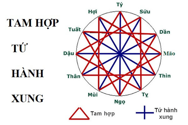 Tứ hành xung - Tam hợp trong 12 con giáp