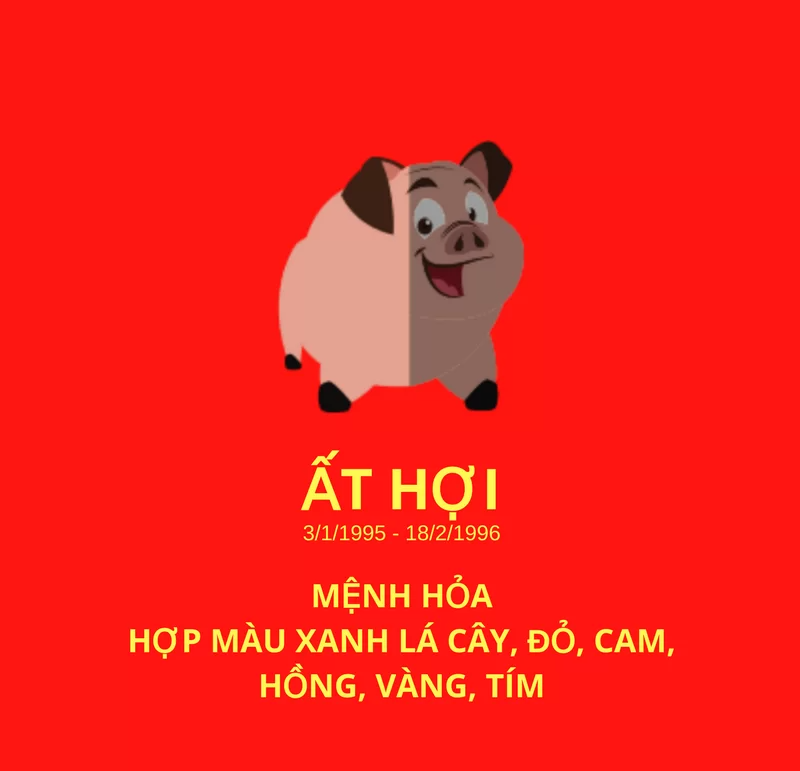 Ất Hợi 1995 hợp màu gì?