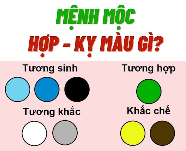 Mệnh Mộc hợp - kỵ màu gì?